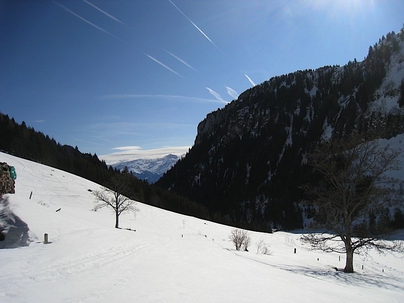 -02-26 Grammont Couloir